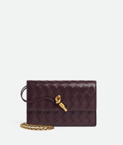 Bottega Andiamo Pouch on Chain Bag